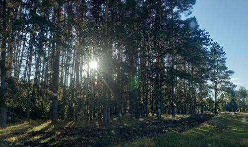 Яшеллекне саклыйк, кадерен белик