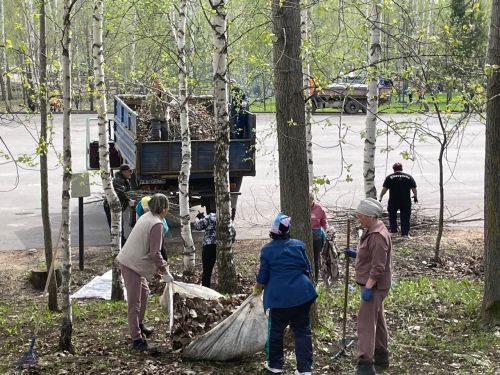 Балтачта өмә гөрләде (фото)