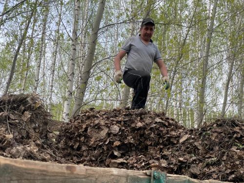 Балтачта өмә гөрләде (фото)