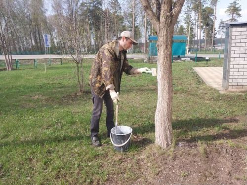 Гаилә подряды белән эшлиләр