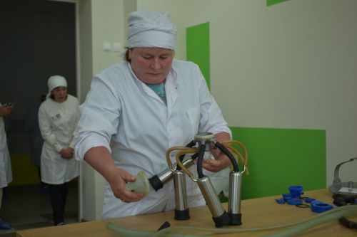 Иң яхшы сыер савучы, ясалма орлыкландыручы һәм зоотехник кайсы хуҗалыктан? (+ Бик күп фото)