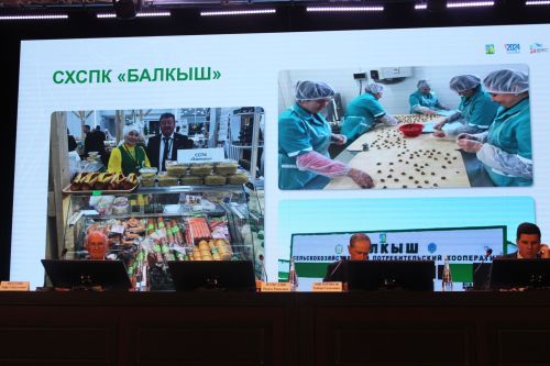 Истәлекле вакыйгалар: республика ветераннарының пленар утырышы (бик күп фото)