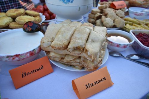 Сизнеръёс узыр адӟытонэн паймытӥзы