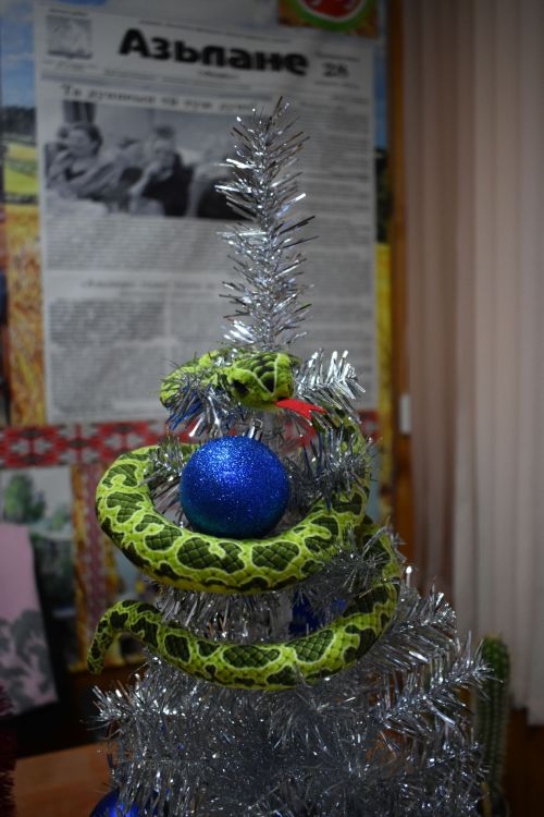 2025-тӥ аре вамыштӥмы!