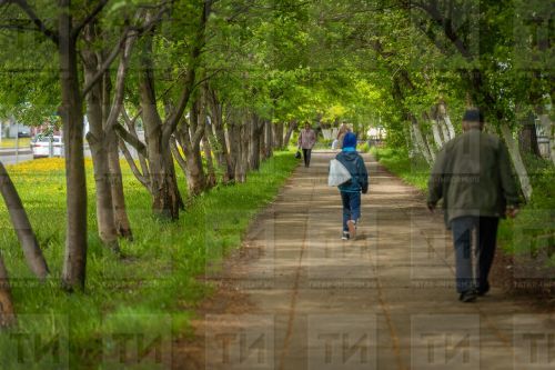 Кем белгән бу баланың күңелендә күпме ачу, рәнҗү, ачыну булганын