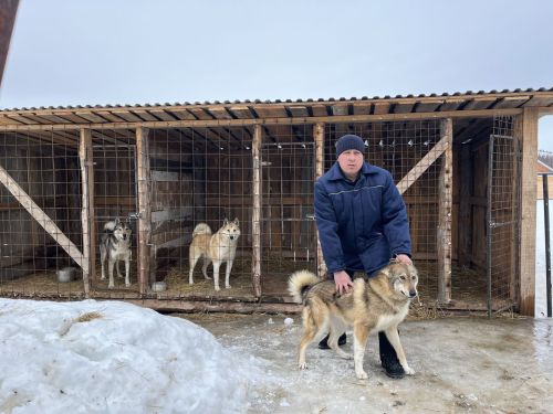 Чип куя башладылар...