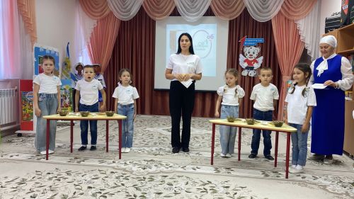 Балтачның дүртенче балалар бакчасында республика семинары узды