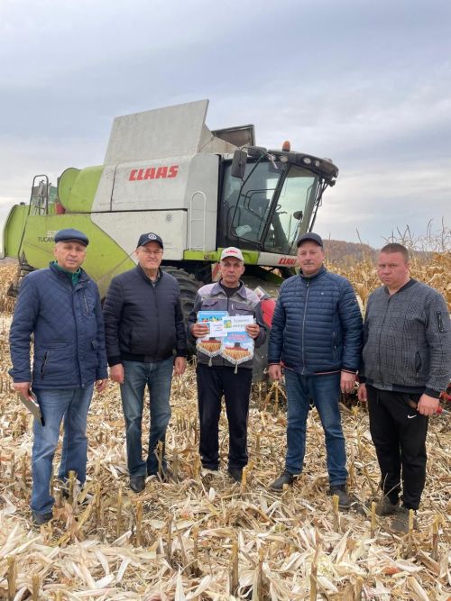 Балтачта кукурузны бөртеккә сугуда нәтиҗәле эшләүчеләргә вымпел тапшырдылар