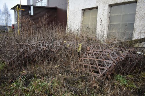 Тырышлык булса, нәтиҗә көттерми - «Алга»
