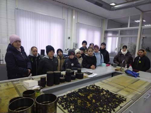 Көзге каникулны файдалы үткәрдек