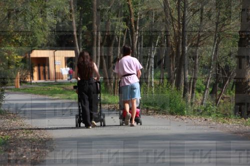 Декрет ялының түләнә торган чорын өч елга кадәр озайтырга тәкъдим иттеләр