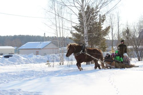 Дамир батыр истәлегенә волейбол ярышлары узды