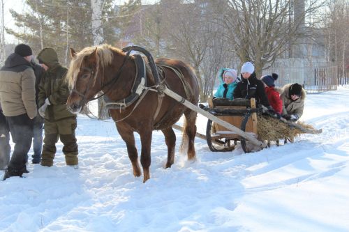 Дамир батыр истәлегенә волейбол ярышлары узды