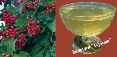 Ютәлдән баллы балан булыша
