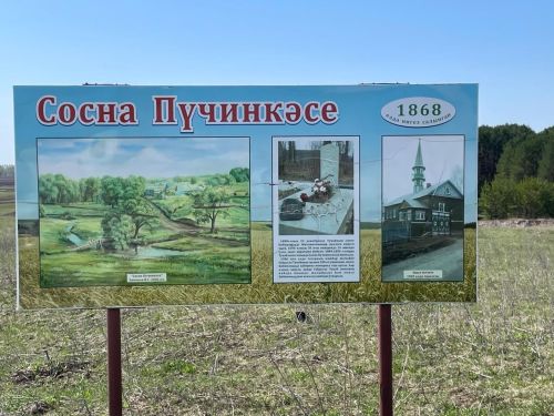Сосна Пүчинкәсендә Тукай көннәре узды (+фоторепортаж)