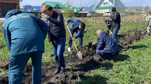 Бөек Җиңүнең 80 еллыгы уңаеннан Балтачта  җитәкчеләр агачлар утырттылар