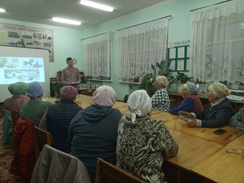 Сосна өлкәннәре яшьлекләренә кайтты