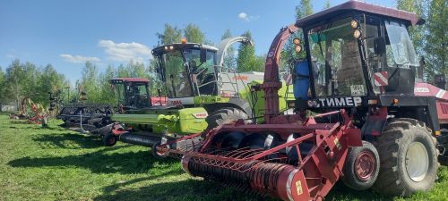 Терлек азыгын хәзерләү чоры җитә