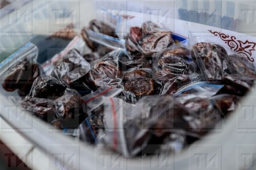 Хөрмә җимеше бөердәге ташларны ваклый