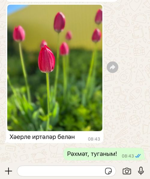 «Рәхмәт, туганым!» - Бер карасаң, гади генә ике сүз кебек