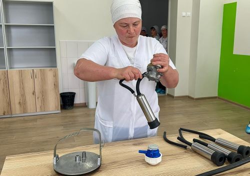 Балтачта иң яхшы сыер савучы һәм ясалма орлыкландыру технологын ачыклыйлар