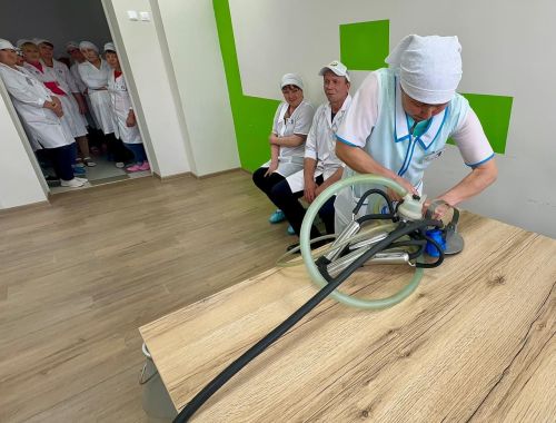 Балтачта иң яхшы сыер савучы һәм ясалма орлыкландыру технологын ачыклыйлар