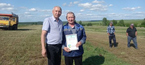 Терлек азыгы хәзерләү алдынгылары (+ бик күп фото)
