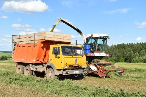 Терлек азыгы хәзерләү алдынгылары (+ бик күп фото)