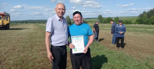 Терлек азыгы хәзерләү алдынгылары (+ бик күп фото)