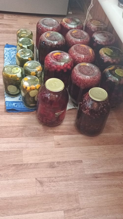 «Рәхмәт, «Хезмәт»кә! Бер капчык шикәр комы оттым бит!