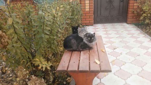Сентябрьдә отпуск алу отышлымы-юкмы?