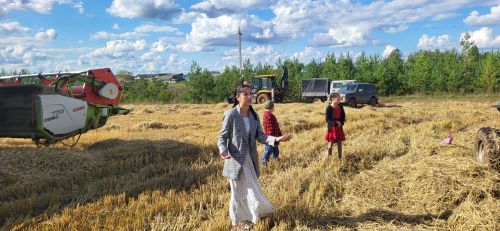 Тимирязев исемендәге хуҗалык кырлары моңга күмелде