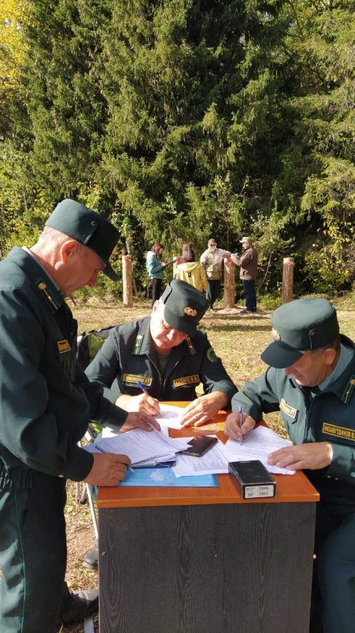 Балтач урманчылары һөнәри бәйрәмнәрен зур җиңүләр белән каршылый