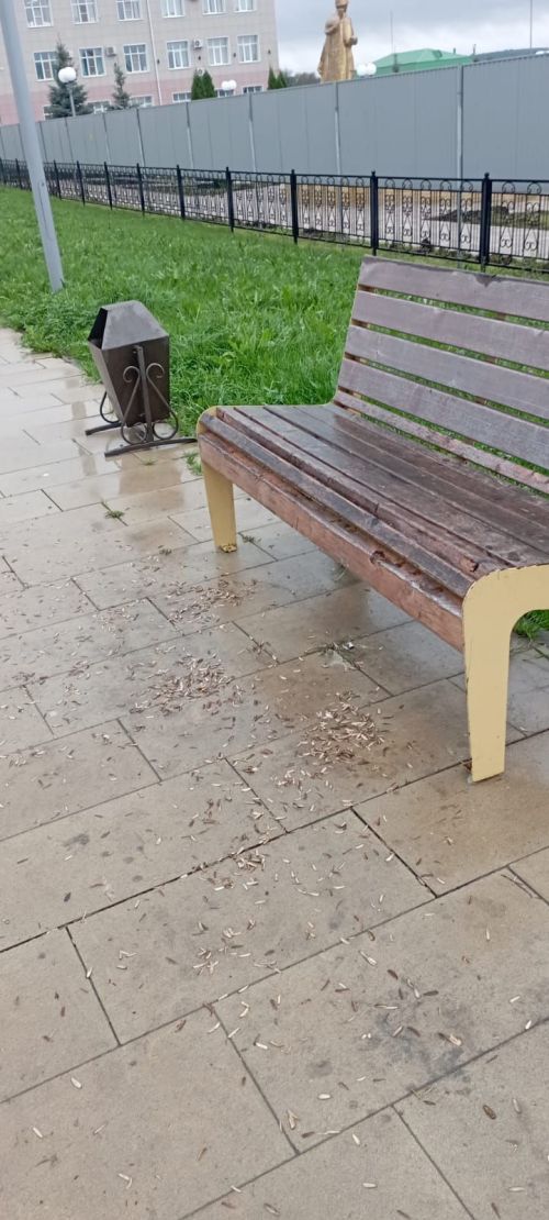 Балтач үзәгендәге паркта нәрсә булган?