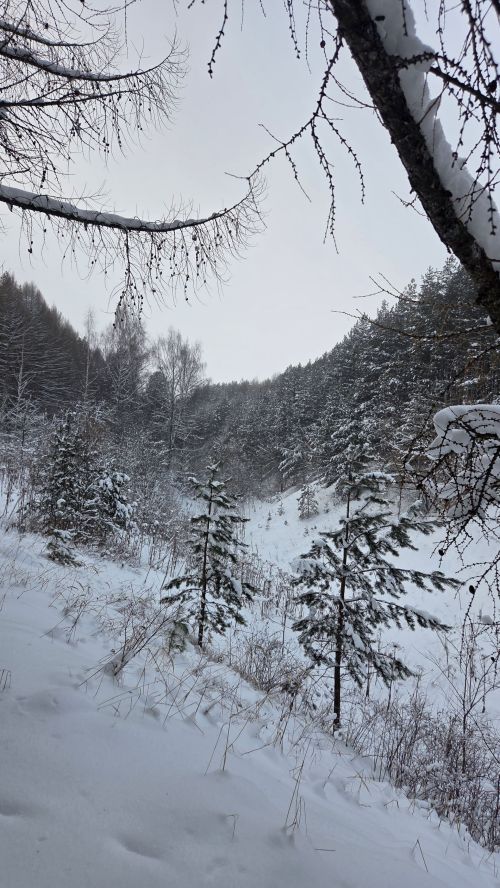 Нөнәгәр авылы егете Раил Гыймадиев фотолары