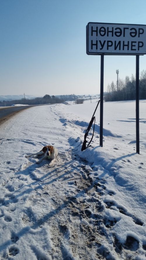 Нөнәгәр авылы егете Раил Гыймадиев фотолары
