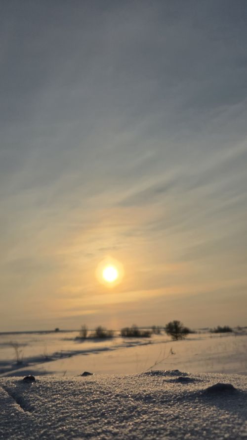 Нөнәгәр авылы егете Раил Гыймадиев фотолары
