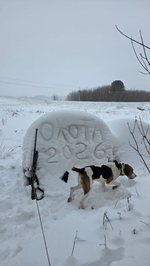 Нөнәгәр авылы егете Раил Гыймадиев фотолары