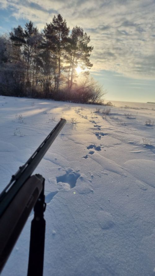 Нөнәгәр авылы егете Раил Гыймадиев фотолары