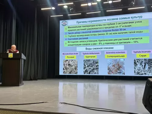 Балтачта игенчелекнең актуаль мәсьәләләре буенча масштаблы семинар-киңәшмә узды