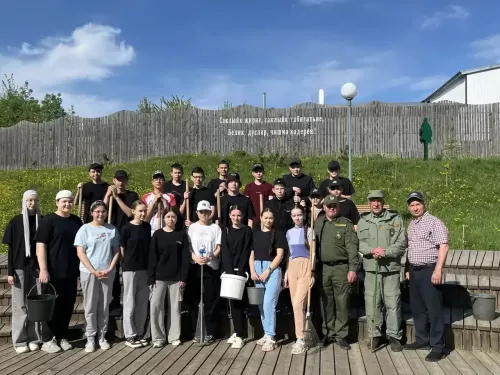 Балтачта утырткан агачларны тар-мар иткәннәр