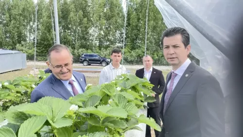 Балтачта эшмәкәрләр очрашты