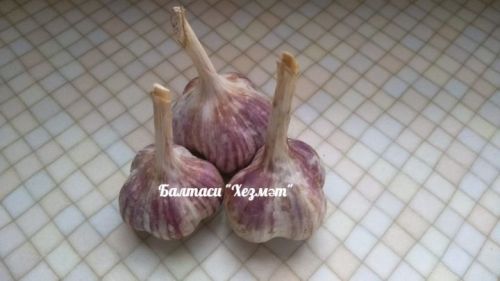 Сарымсакның порошогын ничек ясарга?