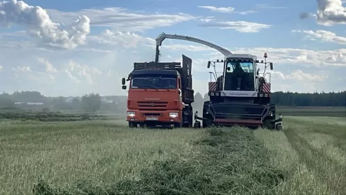 Балтачта терлек азыгы әзерләү буенча бәйгенең беренче атна җиңүчеләре билгеле