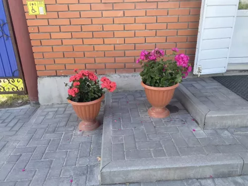 Балтачтагы матурлыкка кемнәр кул суза?