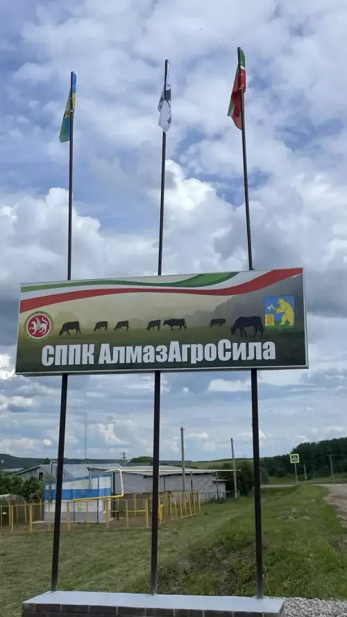 Куныр авылында 45 млн сумга төшкән заманча сугым цехы ачылды