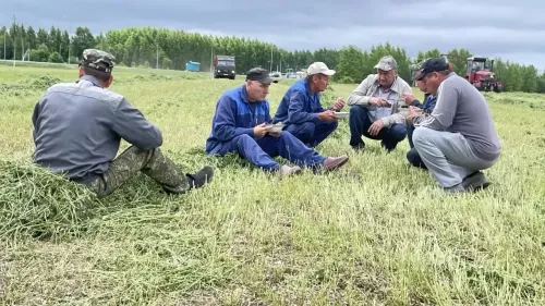 «Сорнай» хуҗалыгы районда беренчеләрдән булып терлек азыгы хәзерләүгә кереште