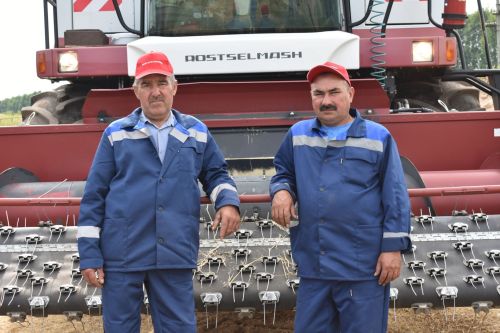 Басулар сары төсмердә, комбайннар әзерлек сызыгында (дәвамы)