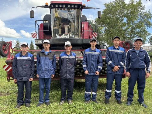 Басулар сары төсмердә, комбайннар әзерлек сызыгында