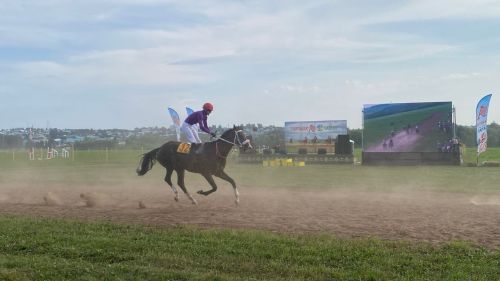Бүген «Аргамак» ат фестивале узды